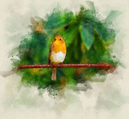 Picture of BIRD 17 WATERCOLOR
