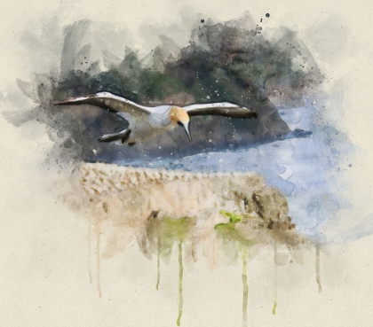 Picture of BIRD 19 WATERCOLOR