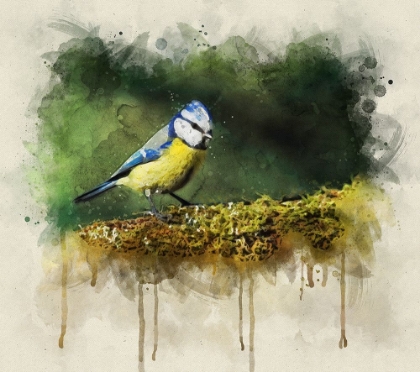 Picture of BIRD 3 WATERCOLOR