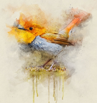 Picture of BIRD 4 WATERCOLOR