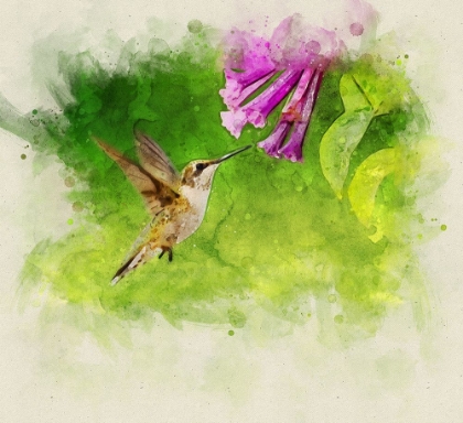 Picture of BIRD 7 WATERCOLOR