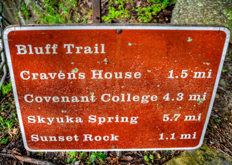 Picture of BLUFF TRAIL SIGN