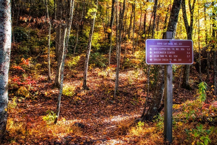 Picture of BOYD GAP TRAIL