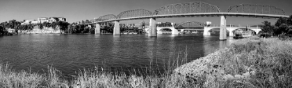 Picture of BRIDGE POPPIES BW