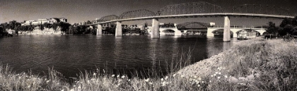 Picture of BRIDGE POPPIES SEPIA CRACKLE