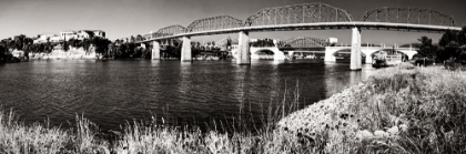 Picture of BRIDGE POPPIES SEPIA GLOW