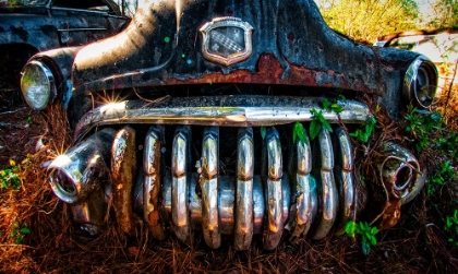 Picture of BUICK EIGHT GRILL