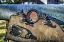 Picture of CANNON DETAIL