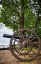 Picture of CANNON VIEW 5