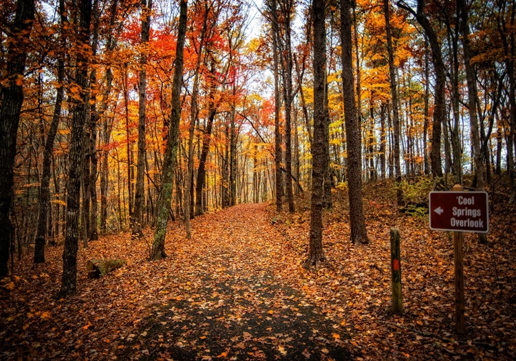 Picture of COOL SPRINGS OVERLOOK