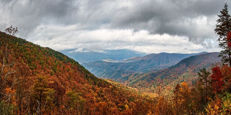 Picture of COOL SPRINGS OVERLOOK 2