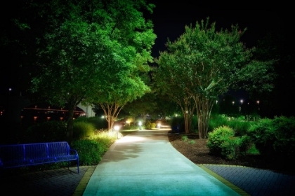 Picture of COOLIDGE NIGHT PATH