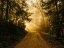 Picture of COUNTRY ROAD 11