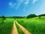 Picture of COUNTRY ROAD 17