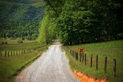 Picture of COUNTRY ROAD 2