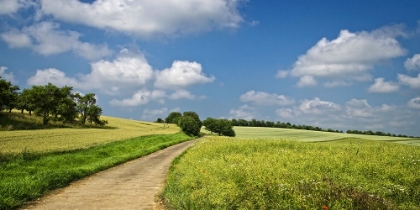 Picture of COUNTRY ROAD 20