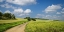 Picture of COUNTRY ROAD 20