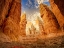 Picture of DESERT 1