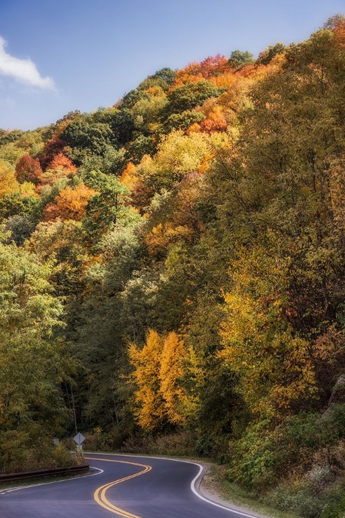 Picture of FALL BEND