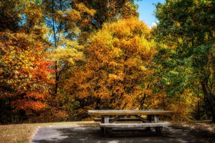 Picture of FALL PICNIC