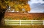 Picture of FALL TREES 3