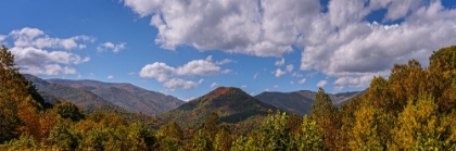 Picture of FALL VISTA