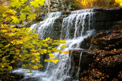 Picture of FALL WATERFALL