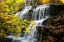 Picture of FALL WATERFALL