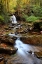 Picture of FALLS 1