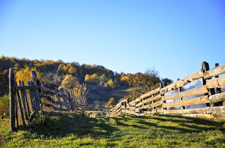 Picture of FENCE 1