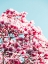 Picture of FLOWER 83