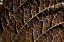 Picture of FOLIAGE TEXTURED 3