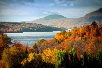 Picture of FOREST LAKE