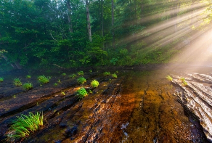 Picture of HIWASSEE MORNING RAYS