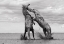 Picture of HORSE 1