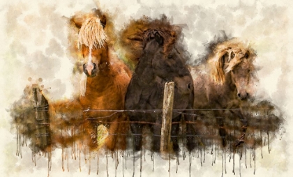 Picture of HORSE 2 WATERCOLOR