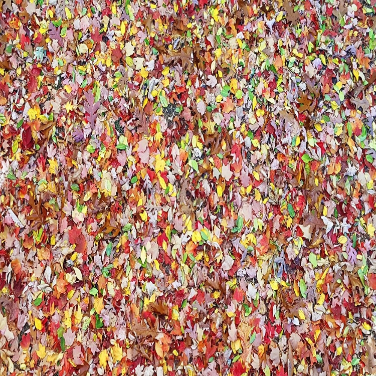 Picture of LEAVES 17
