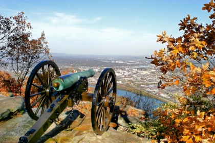 Picture of LOOKOUT CANNON COLOR