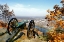 Picture of LOOKOUT CANNON COLOR