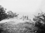 Picture of LOOKOUT CANNONS