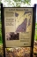 Picture of LOOKOUT MOUNTAIN TRAILS SIGN