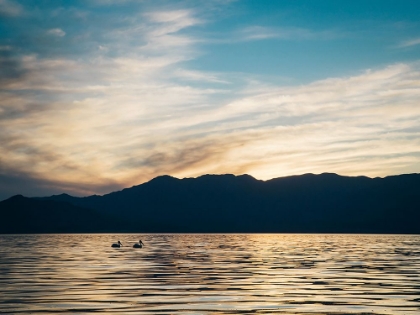 Picture of MOUNTAIN LAKE 25