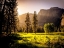 Picture of MOUNTAIN VIEW 42