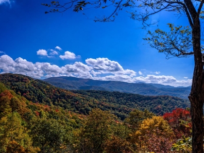 Picture of NC FALL MOUNTAINS 1