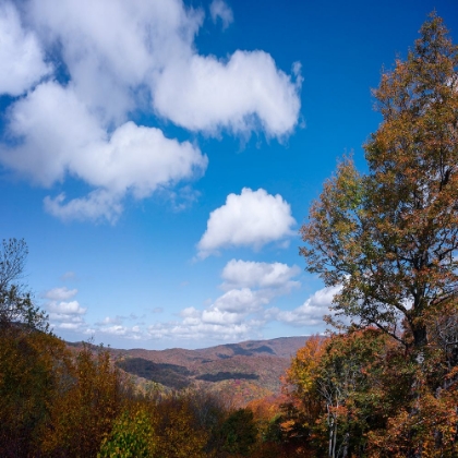 Picture of NC FALL MOUNTAINS 2