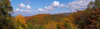 Picture of NC FALL MOUNTAINS 3