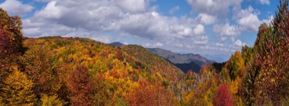 Picture of NC FALL MOUNTAINS 5