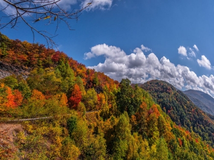 Picture of NC FALL MOUNTAINS 6