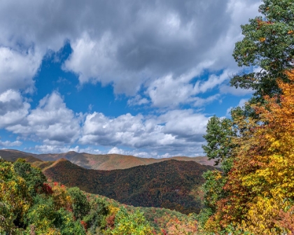 Picture of NC FALL MOUNTAINS 7