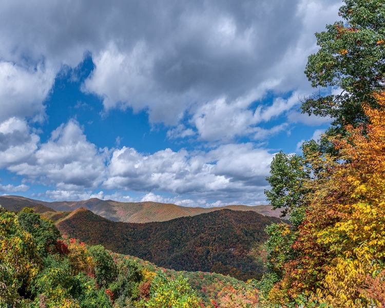 Picture of NC FALL MOUNTAINS 7